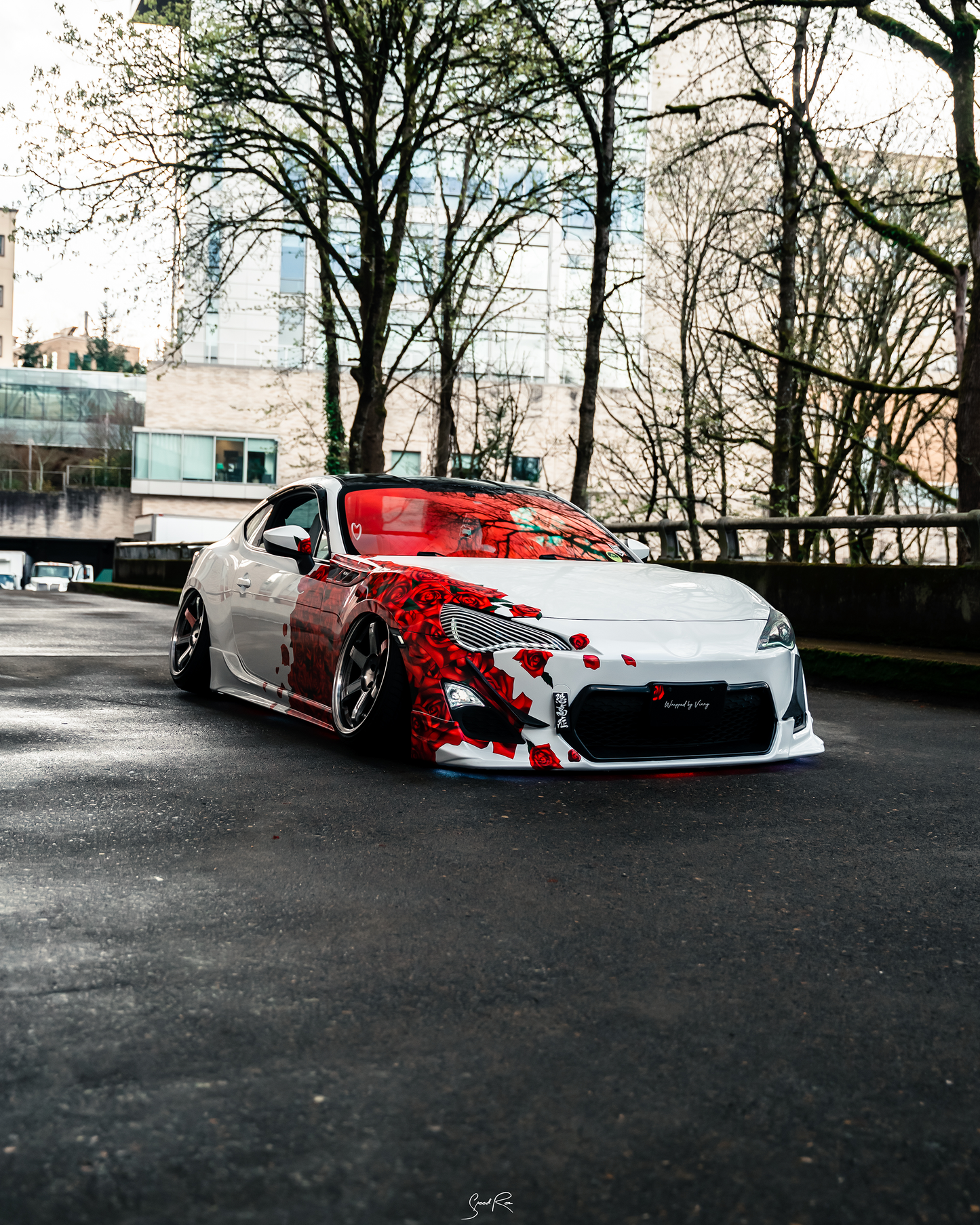 R O S E