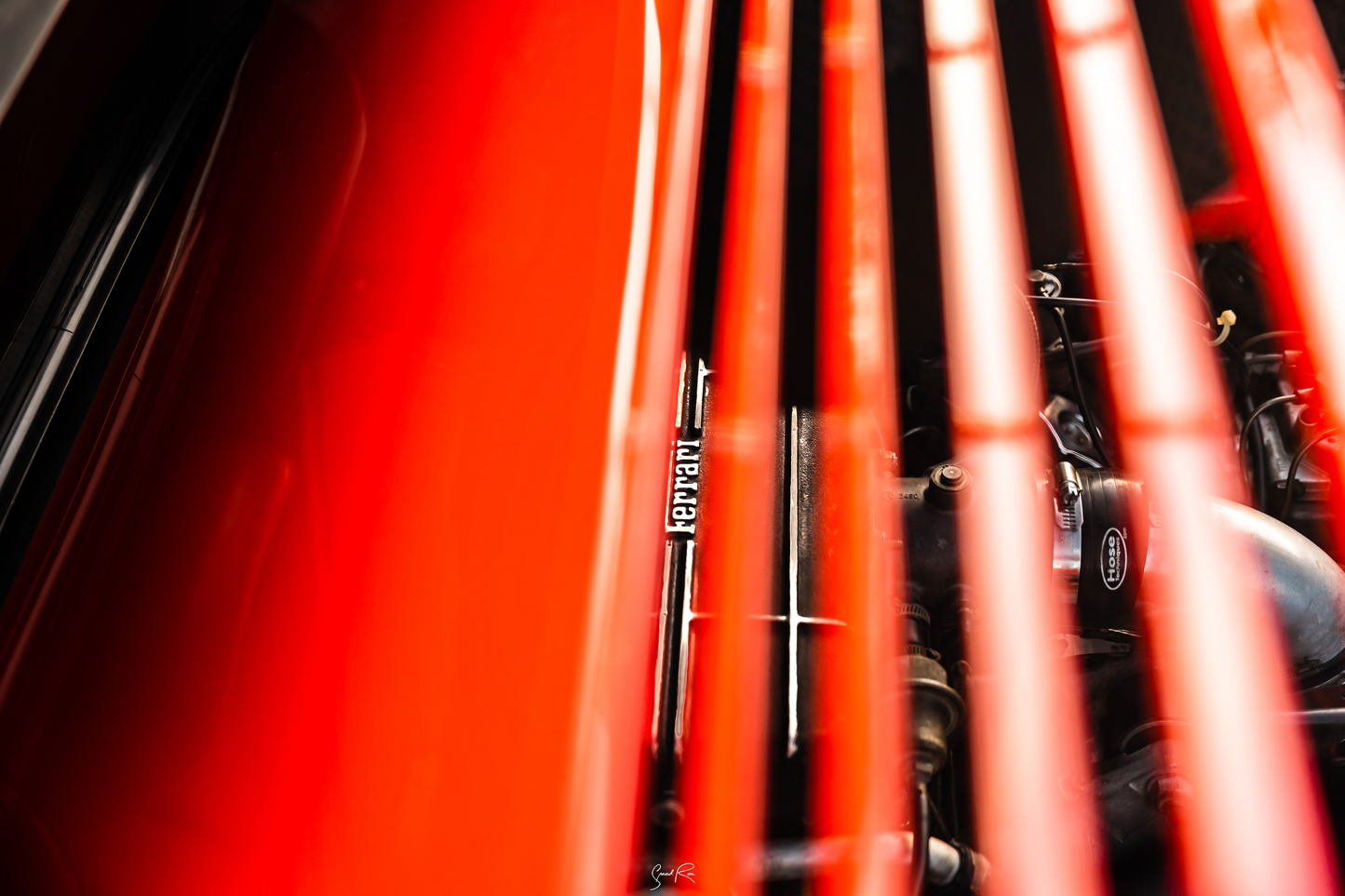 Dominic's 1981 Rosso Corsa Ferrari Mondial 8