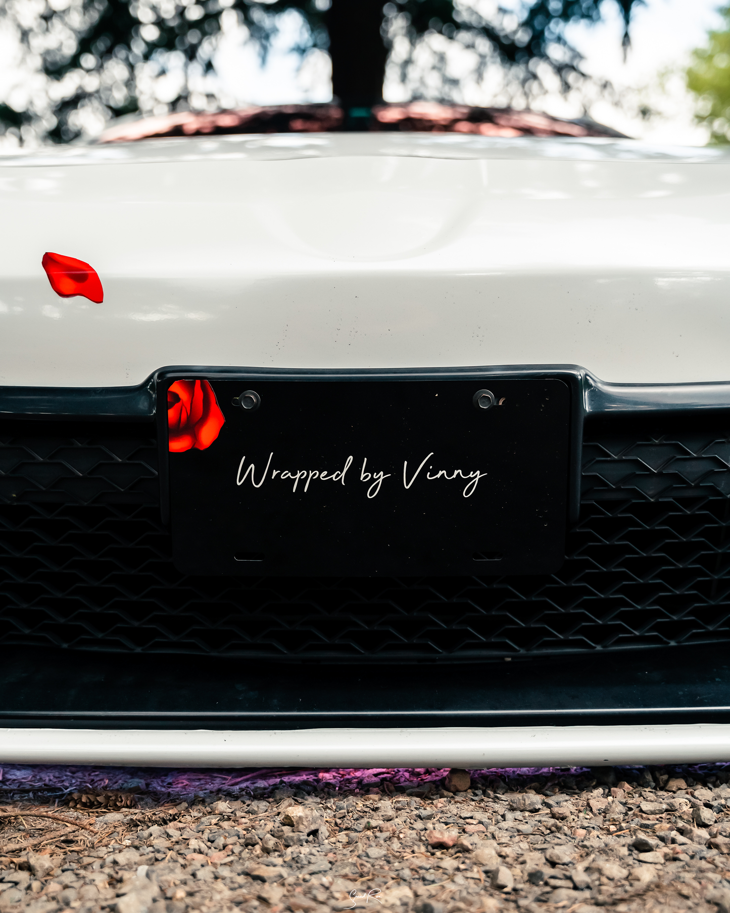 V I N N Y